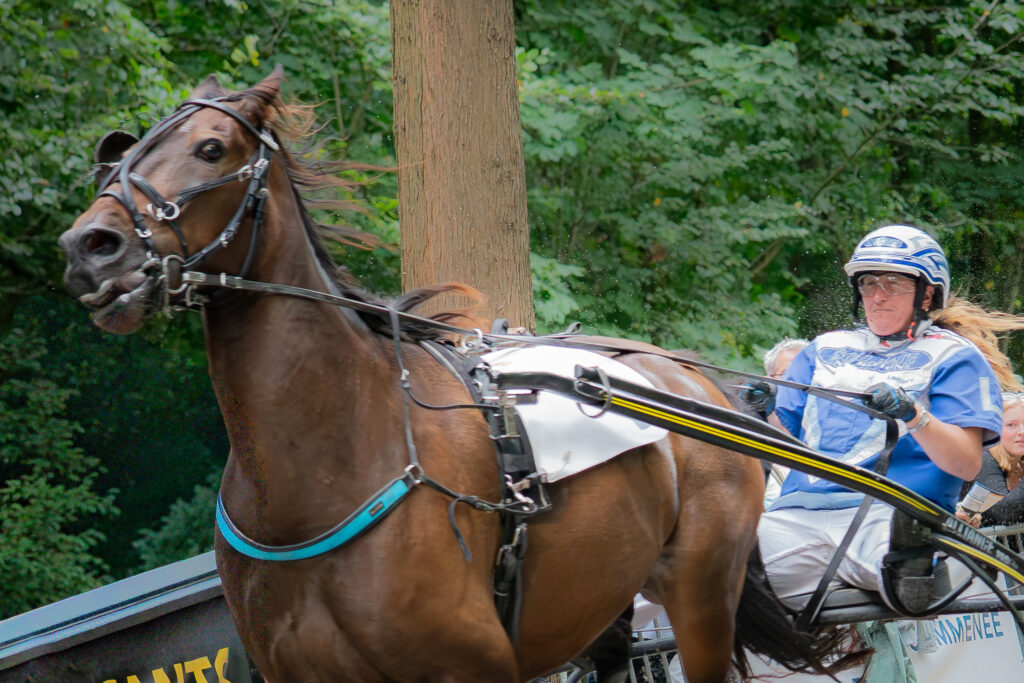 Paardensport Harddraverij Natascha van Mullem Sportparels