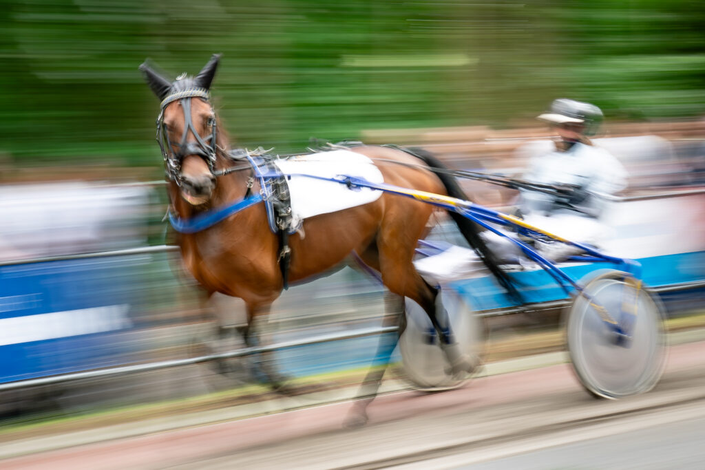 Paardensport Harddraverij Natascha van Mullem Sportparels