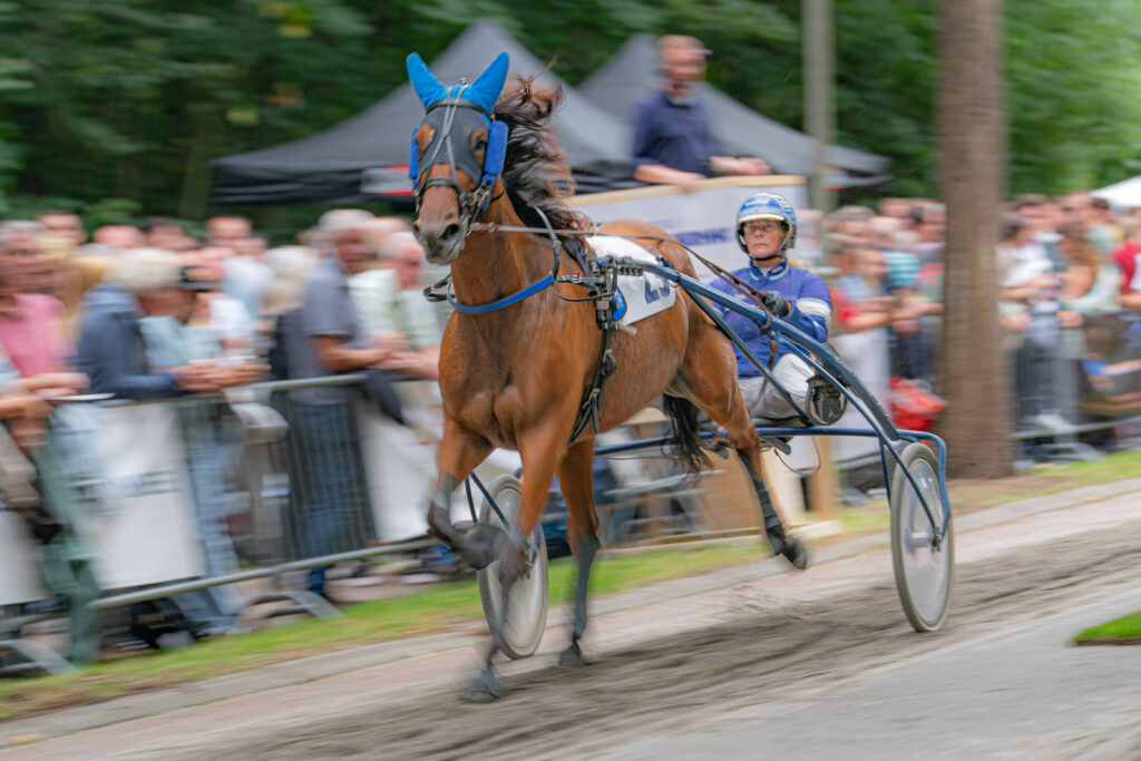 Paardensport Harddraverij Natascha van Mullem Sportparels