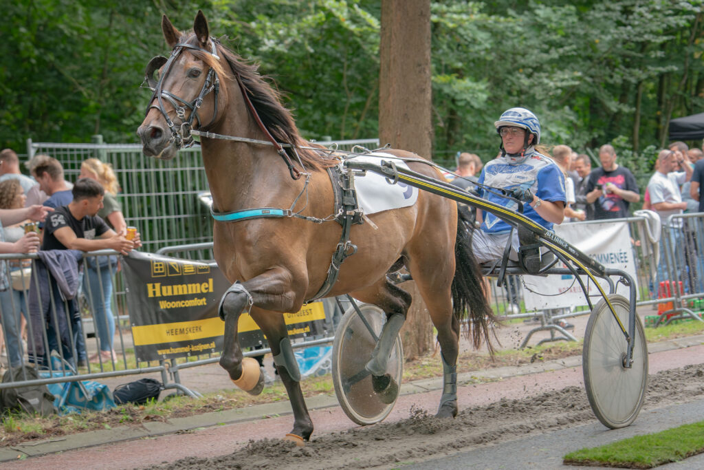 Paardensport Harddraverij Natascha van Mullem Sportparels