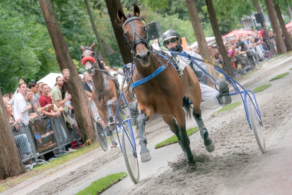 Paardensport Harddraverij Natascha van Mullem Sportparels